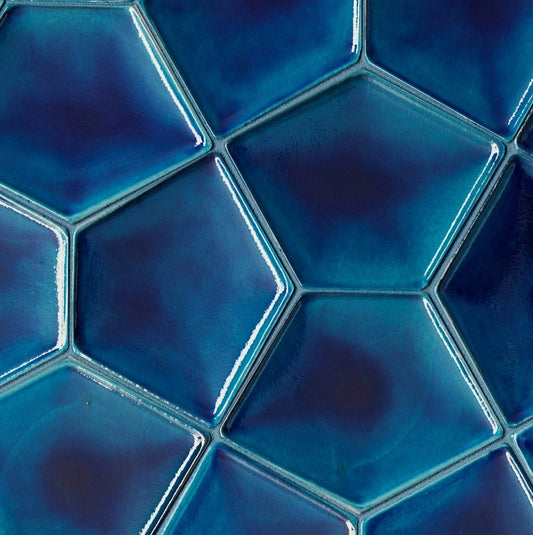 AcquarioDue - Papillion