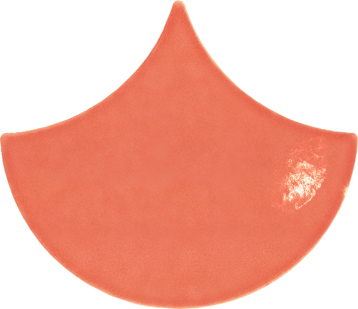 AcquarioDue Pavoncella