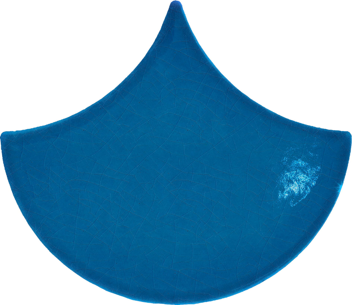 AcquarioDue Pavoncella