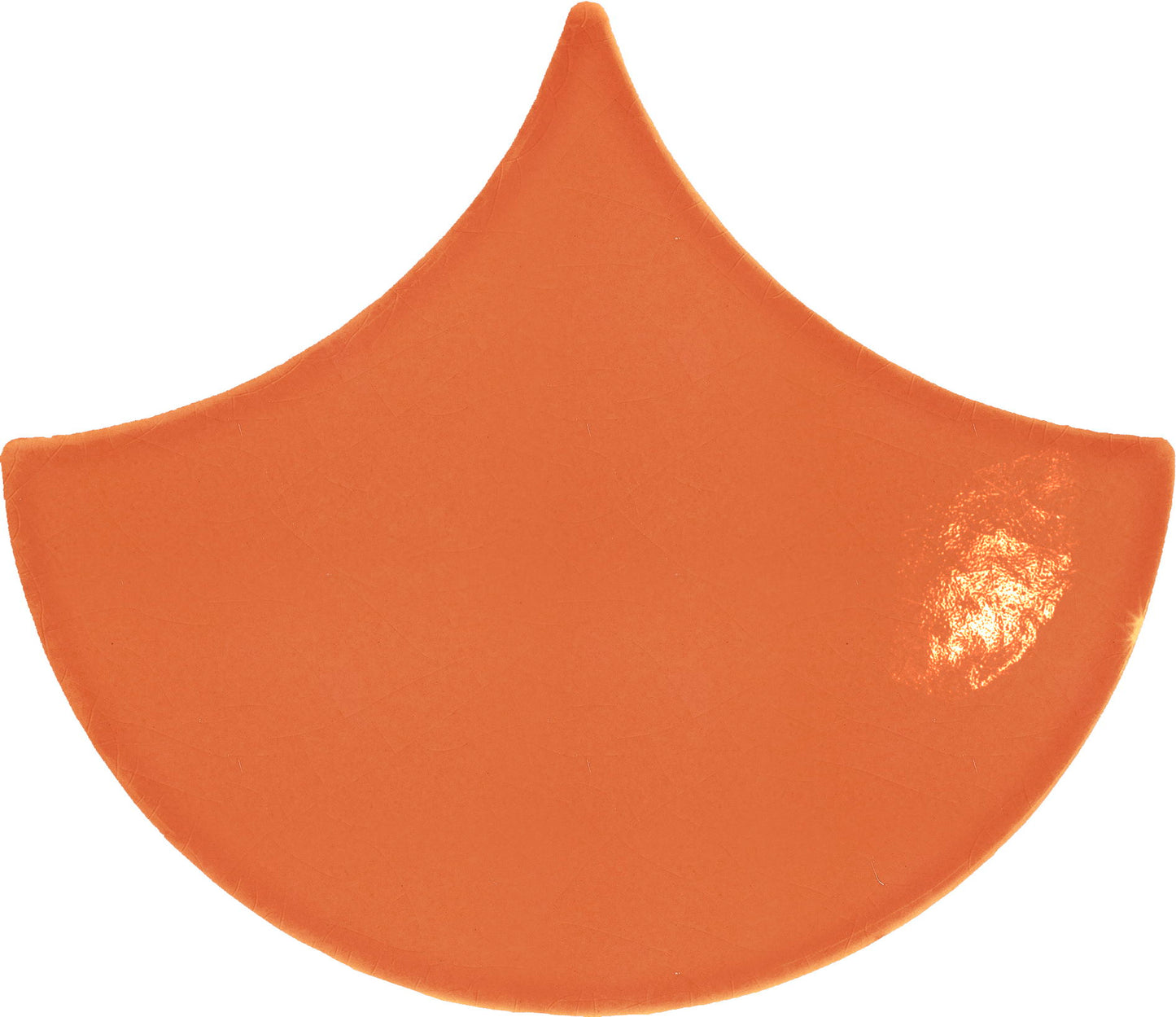 AcquarioDue Pavoncella