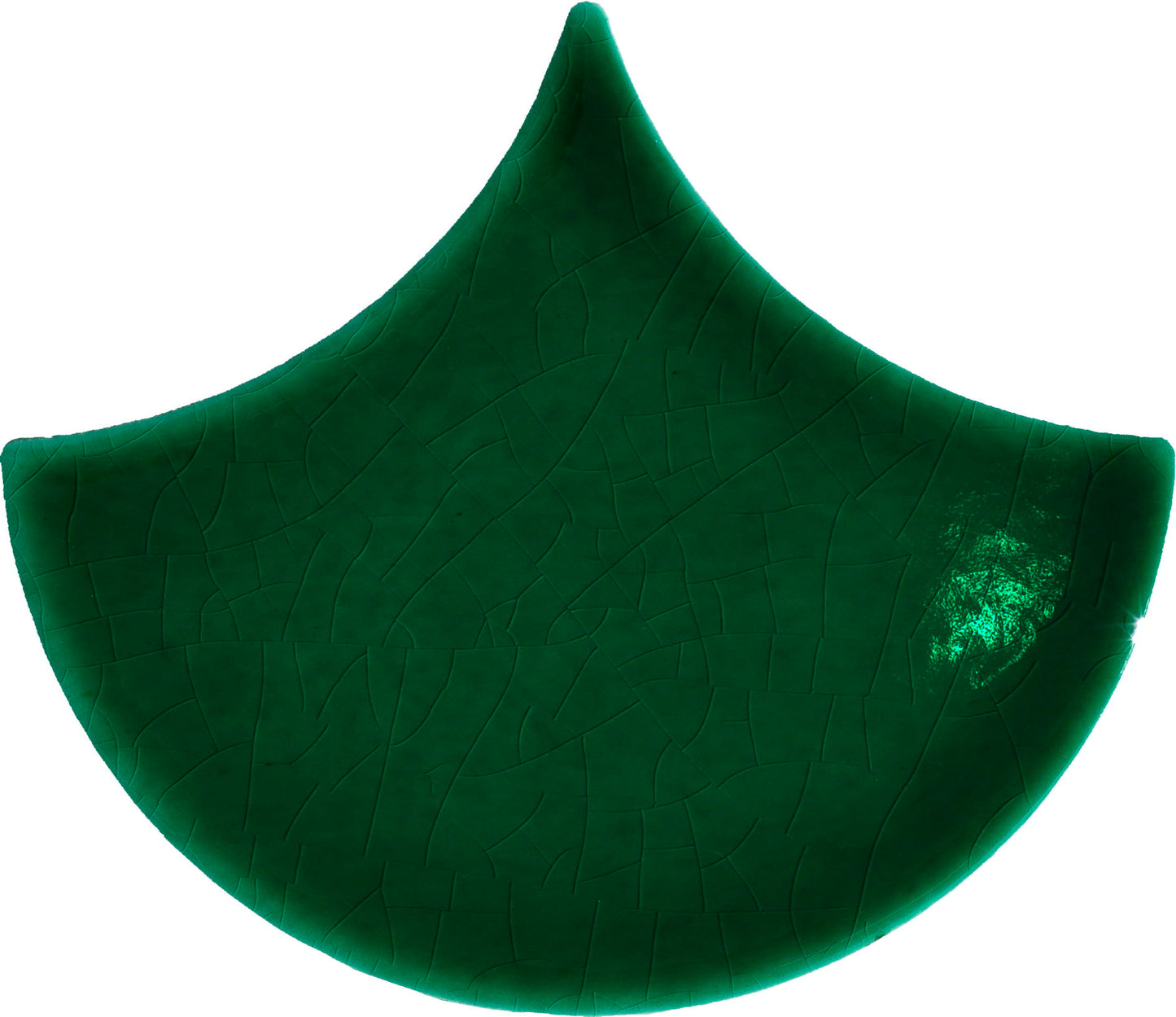 AcquarioDue Pavoncella