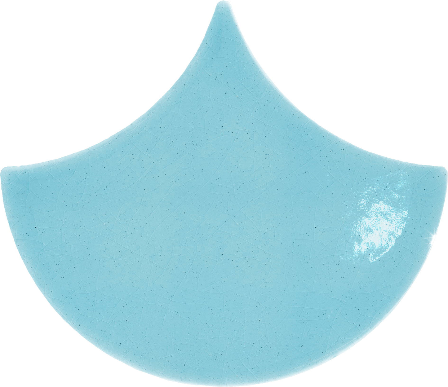 AcquarioDue Pavoncella