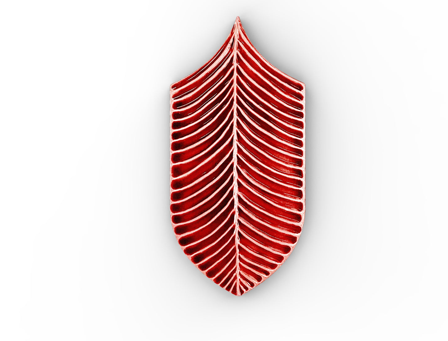AcquarioDue - Calathea