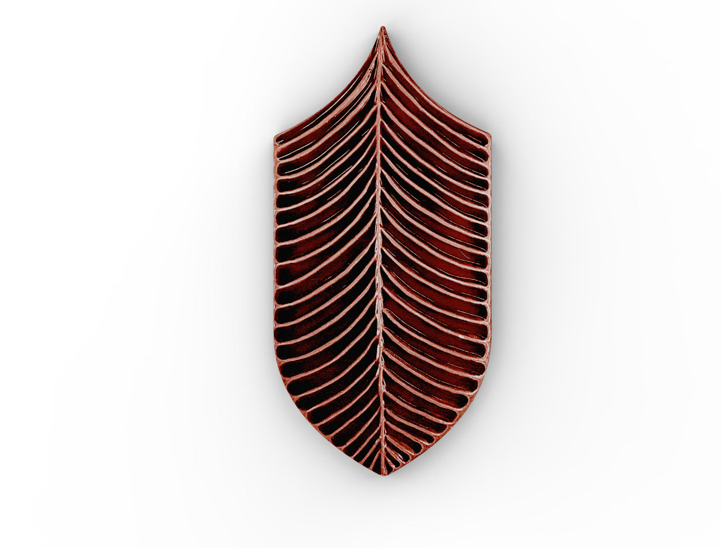 AcquarioDue - Calathea