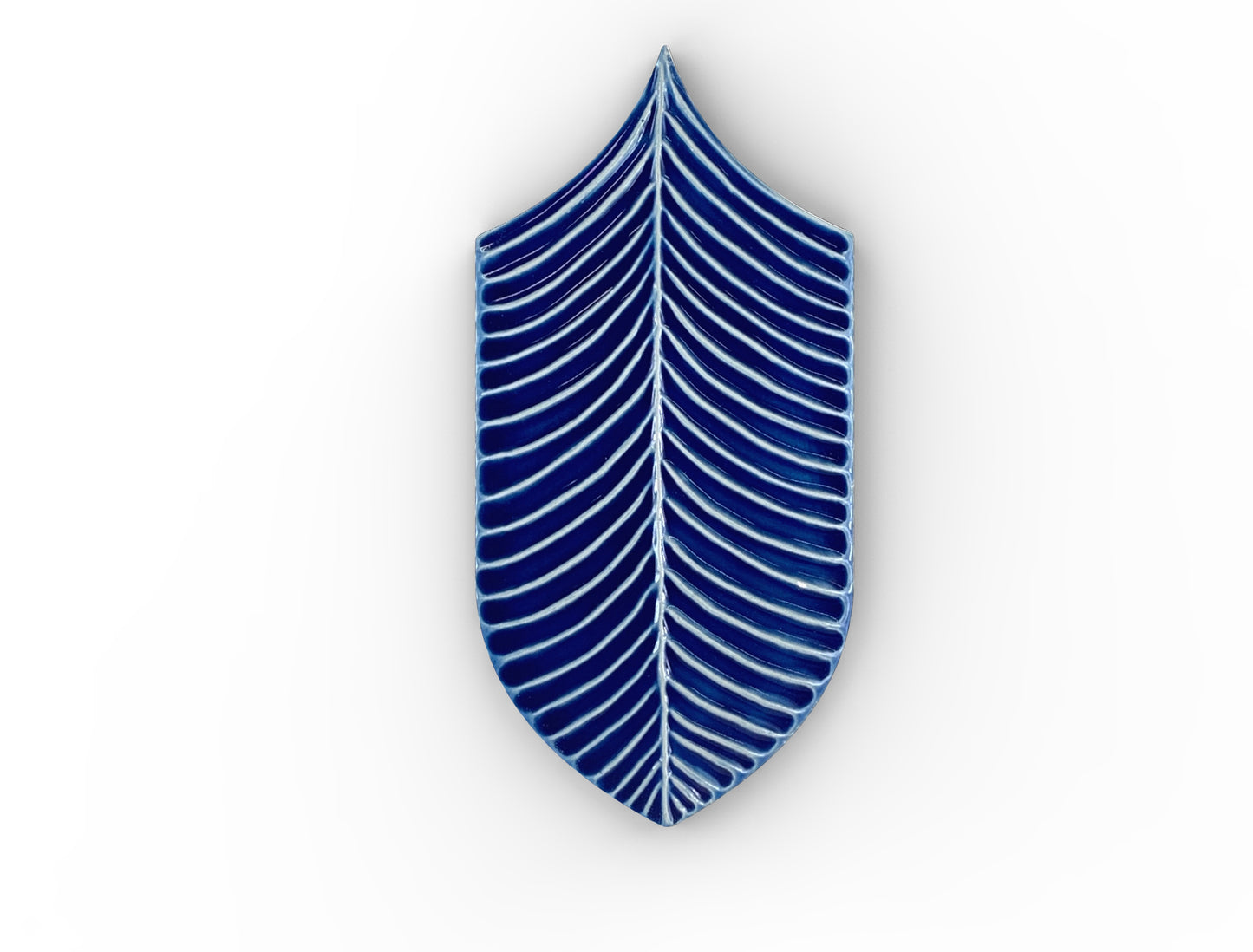 AcquarioDue - Calathea