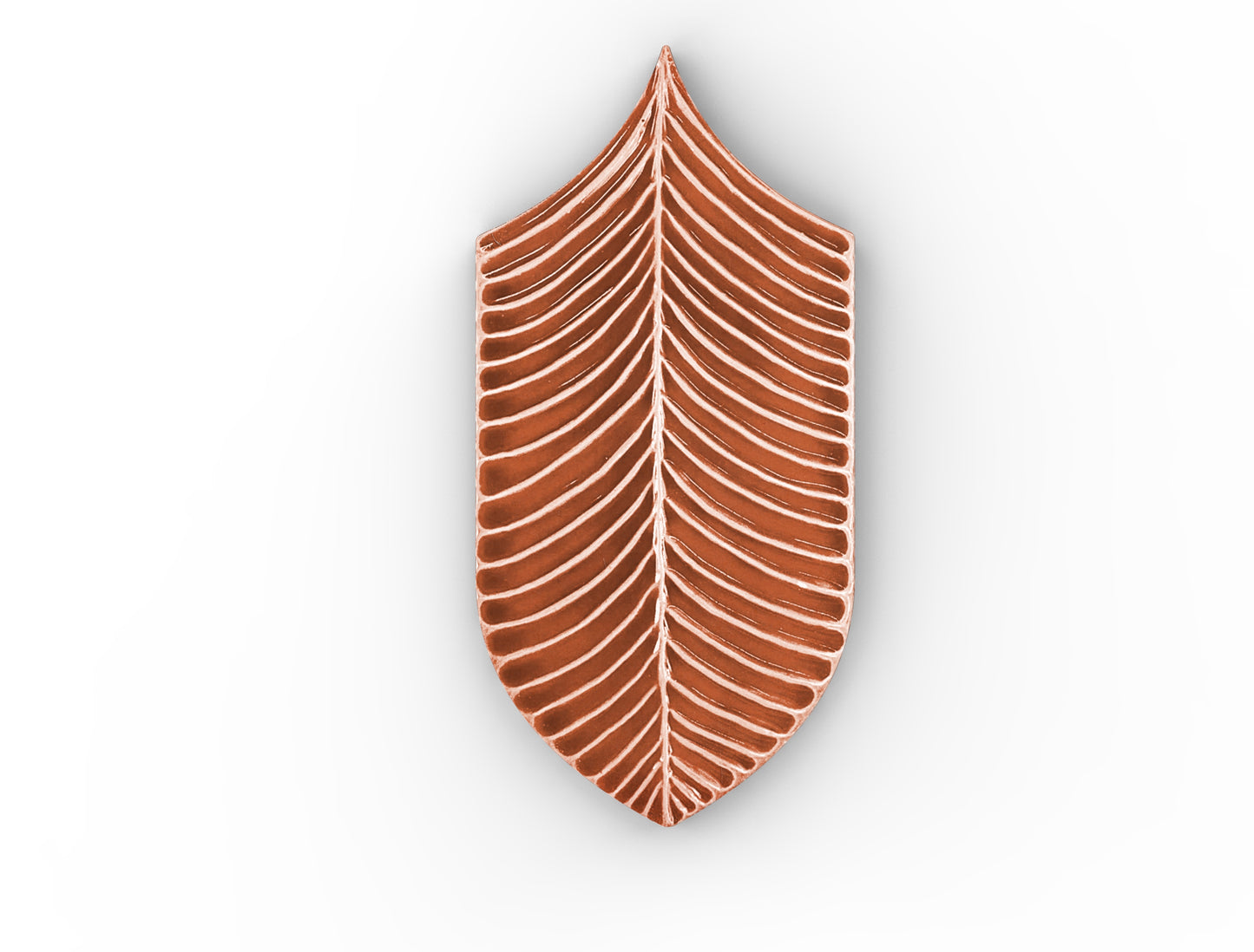 AcquarioDue - Calathea
