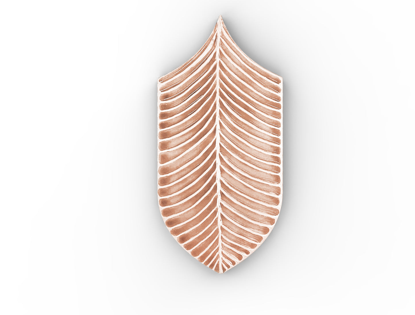 AcquarioDue - Calathea