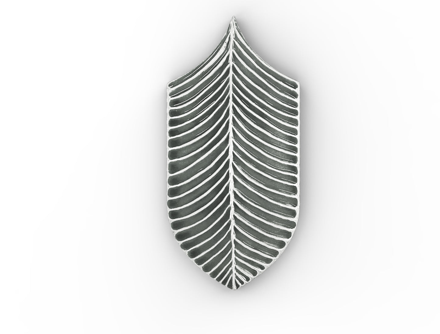 AcquarioDue - Calathea