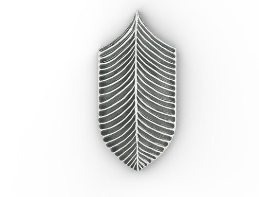 AcquarioDue - Calathea