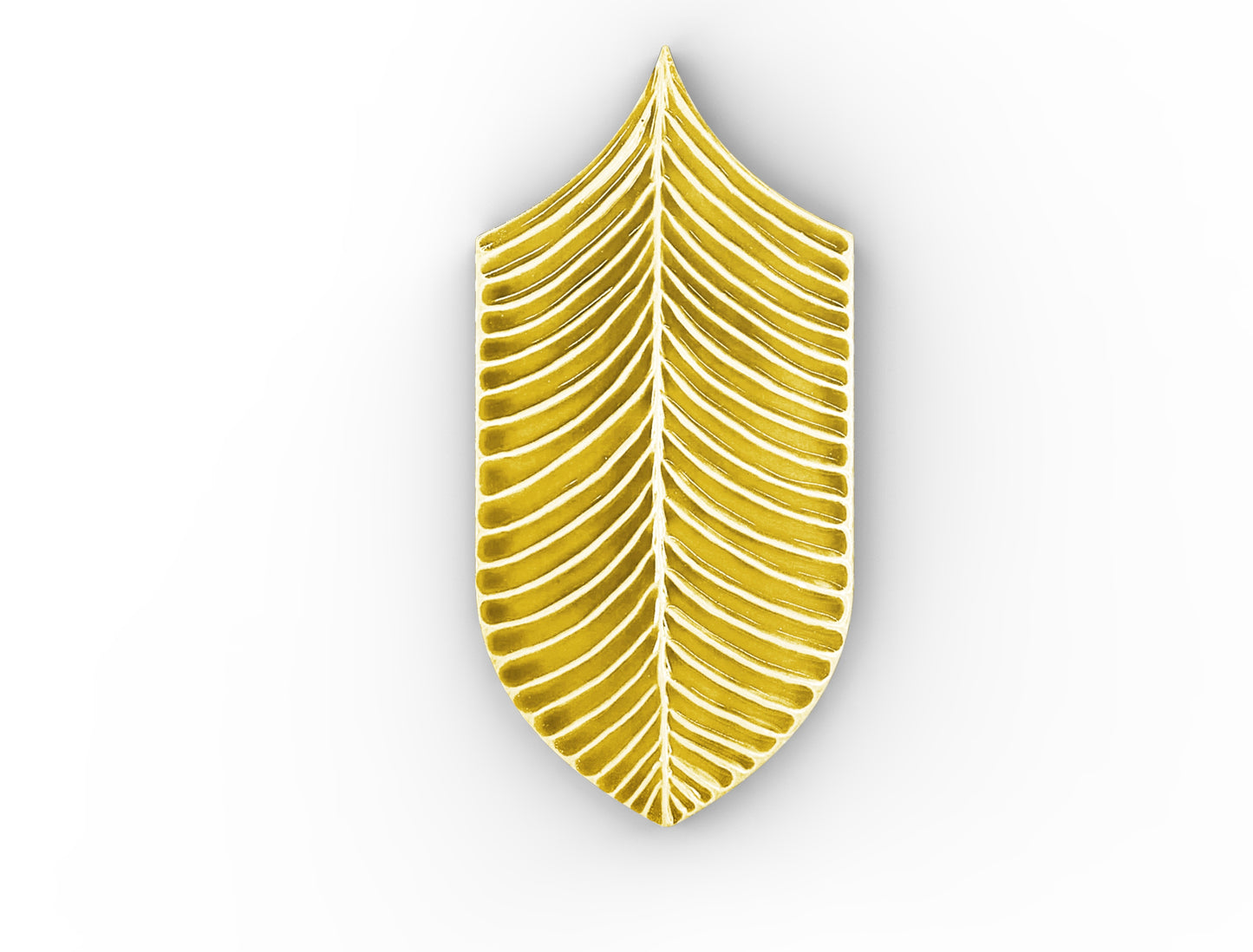 AcquarioDue - Calathea