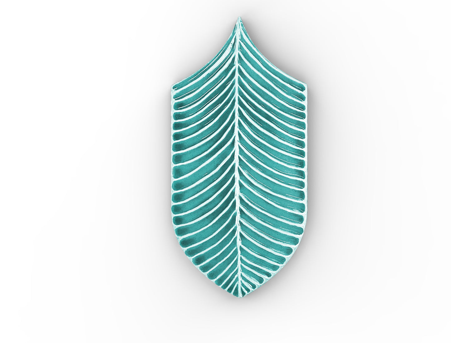AcquarioDue - Calathea