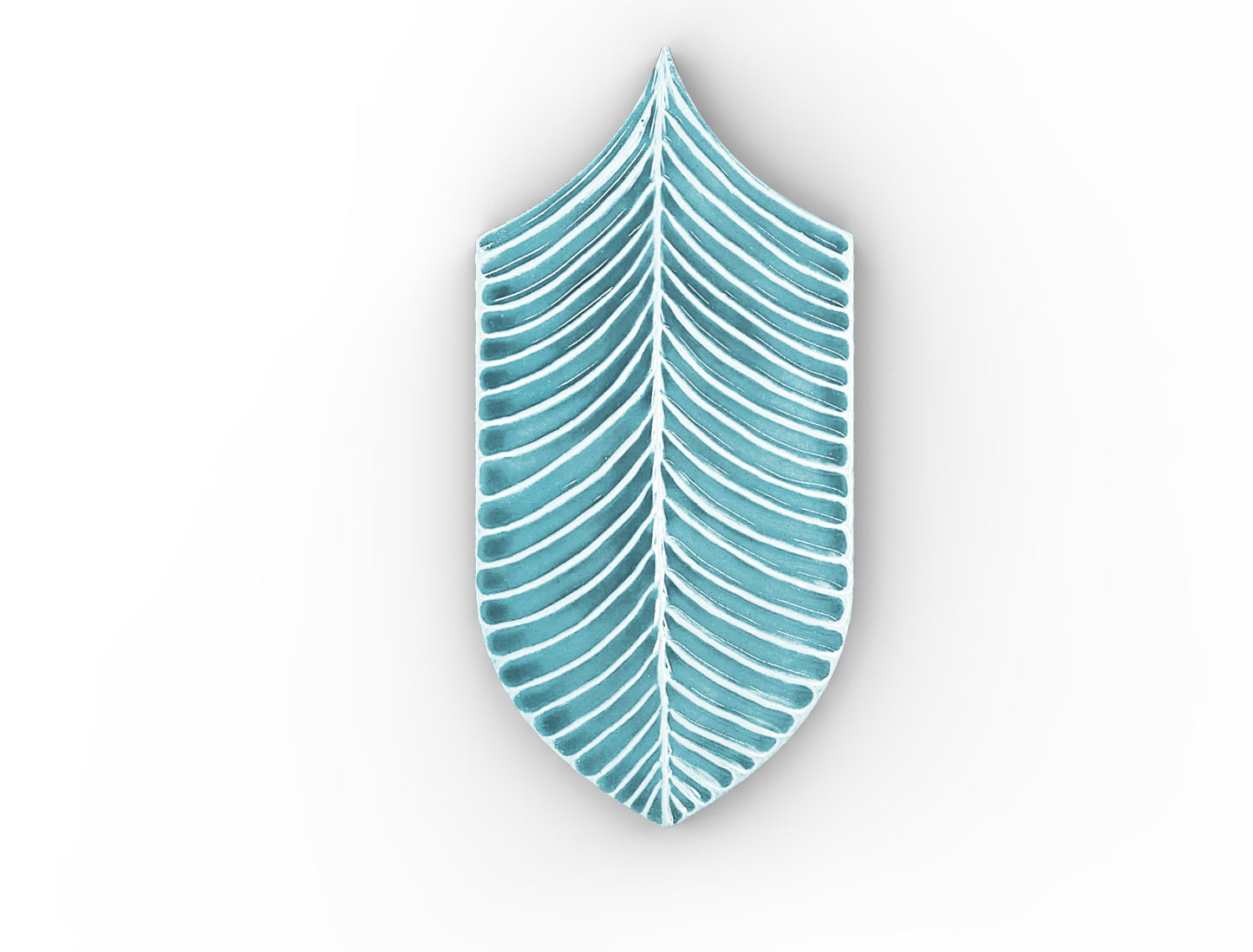 AcquarioDue - Calathea