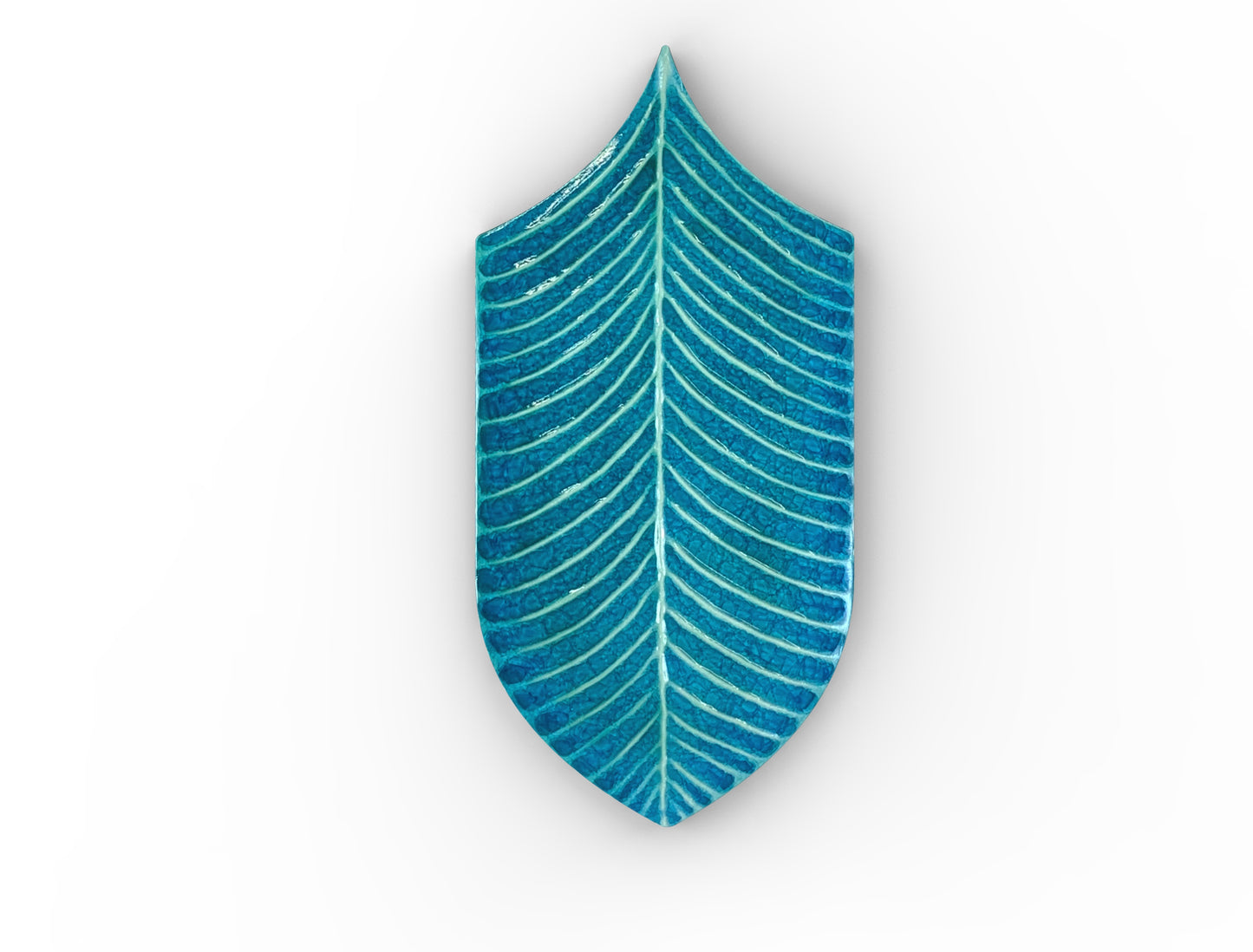 Acquario Due Calathea
