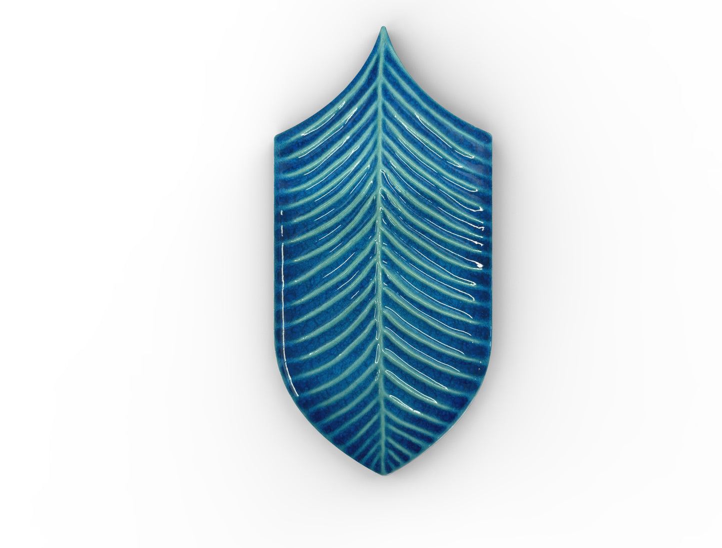 Acquario Due Calathea