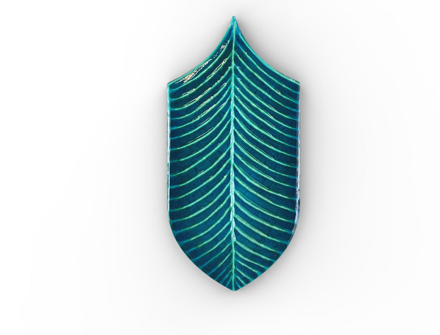 Acquario Due Calathea