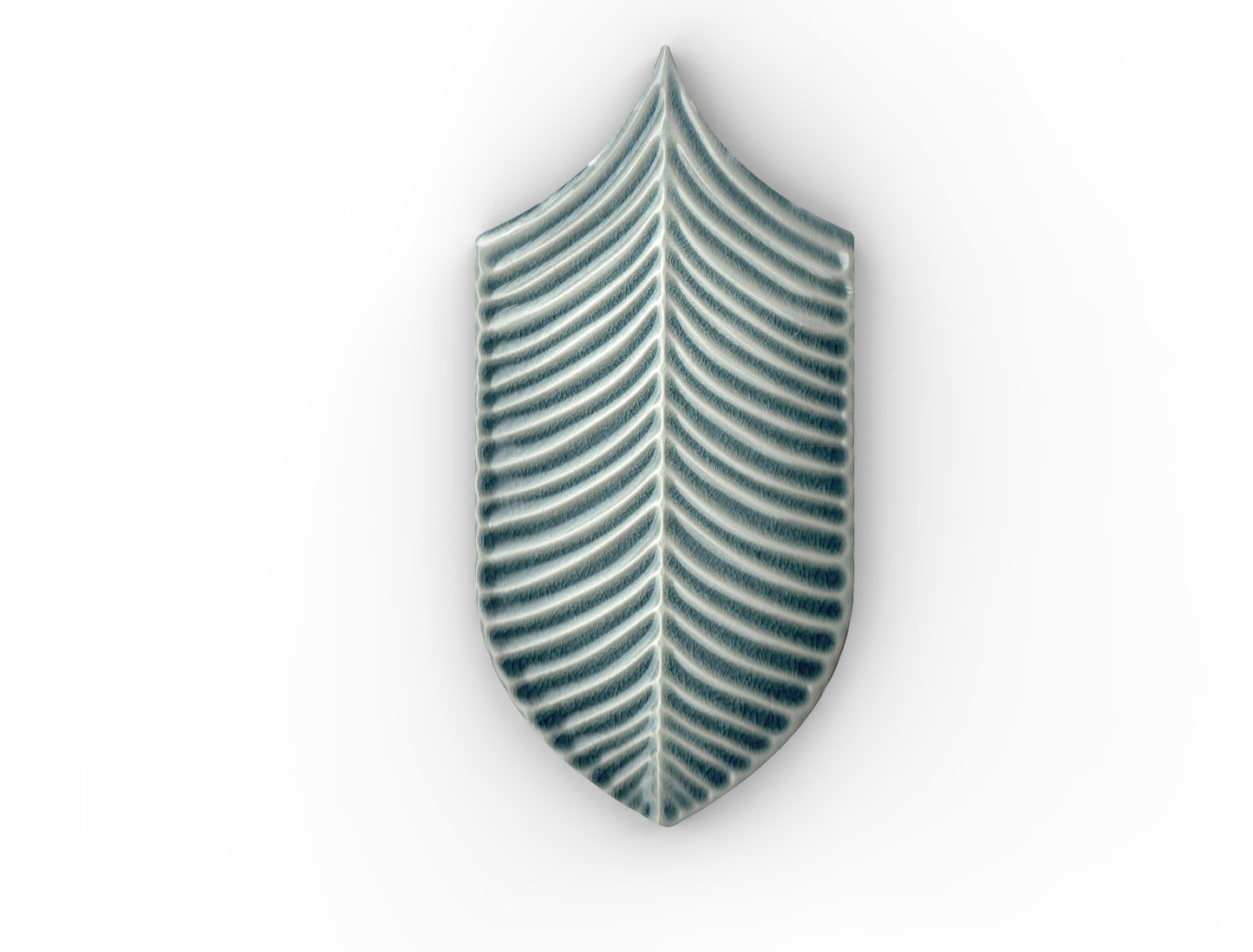 Acquario Due Calathea