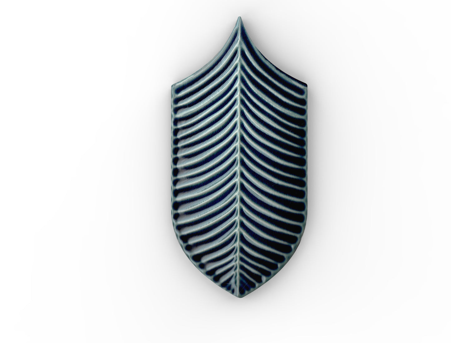 Acquario Due Calathea