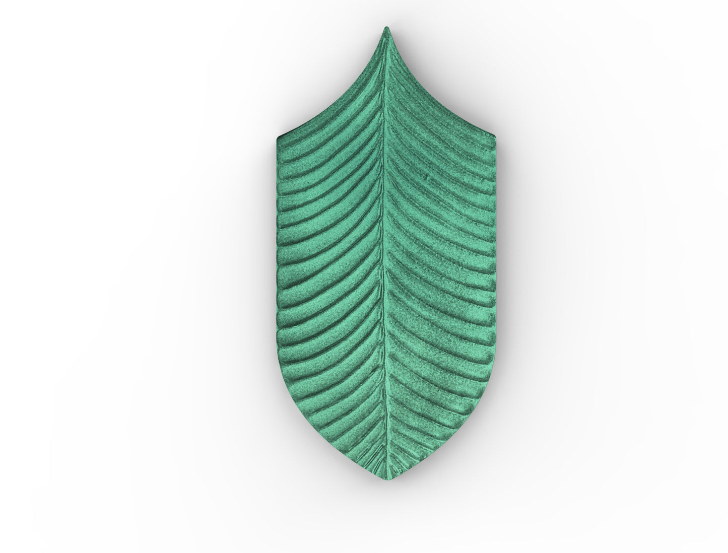 AcquarioDue - Calathea