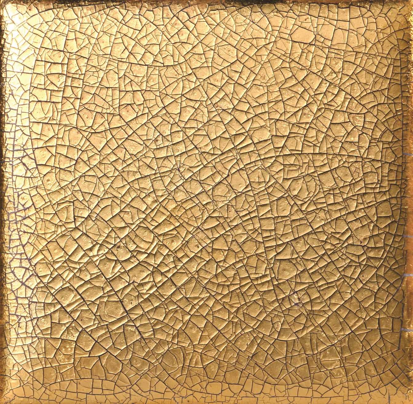 AcquarioDue - Kuspis
