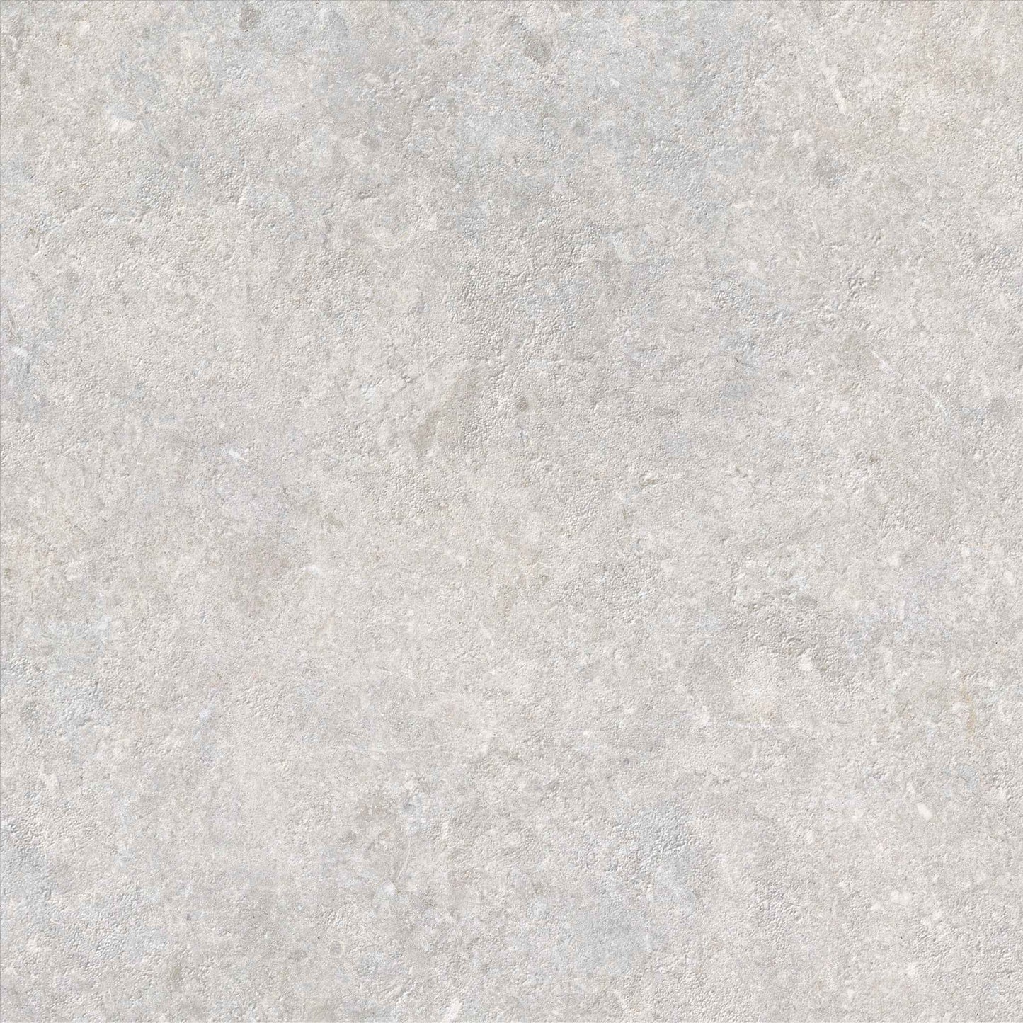 Saloni - Cavallina