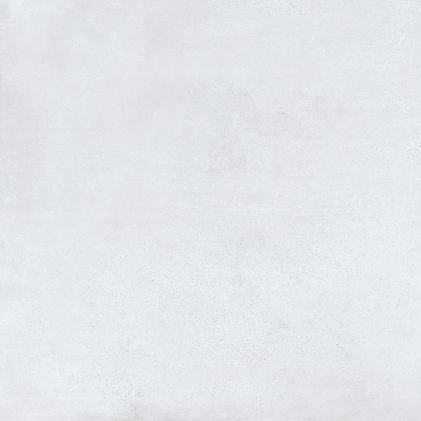 Saloni - Velvet-C