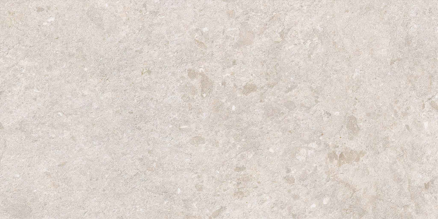 Saloni - Cavallina