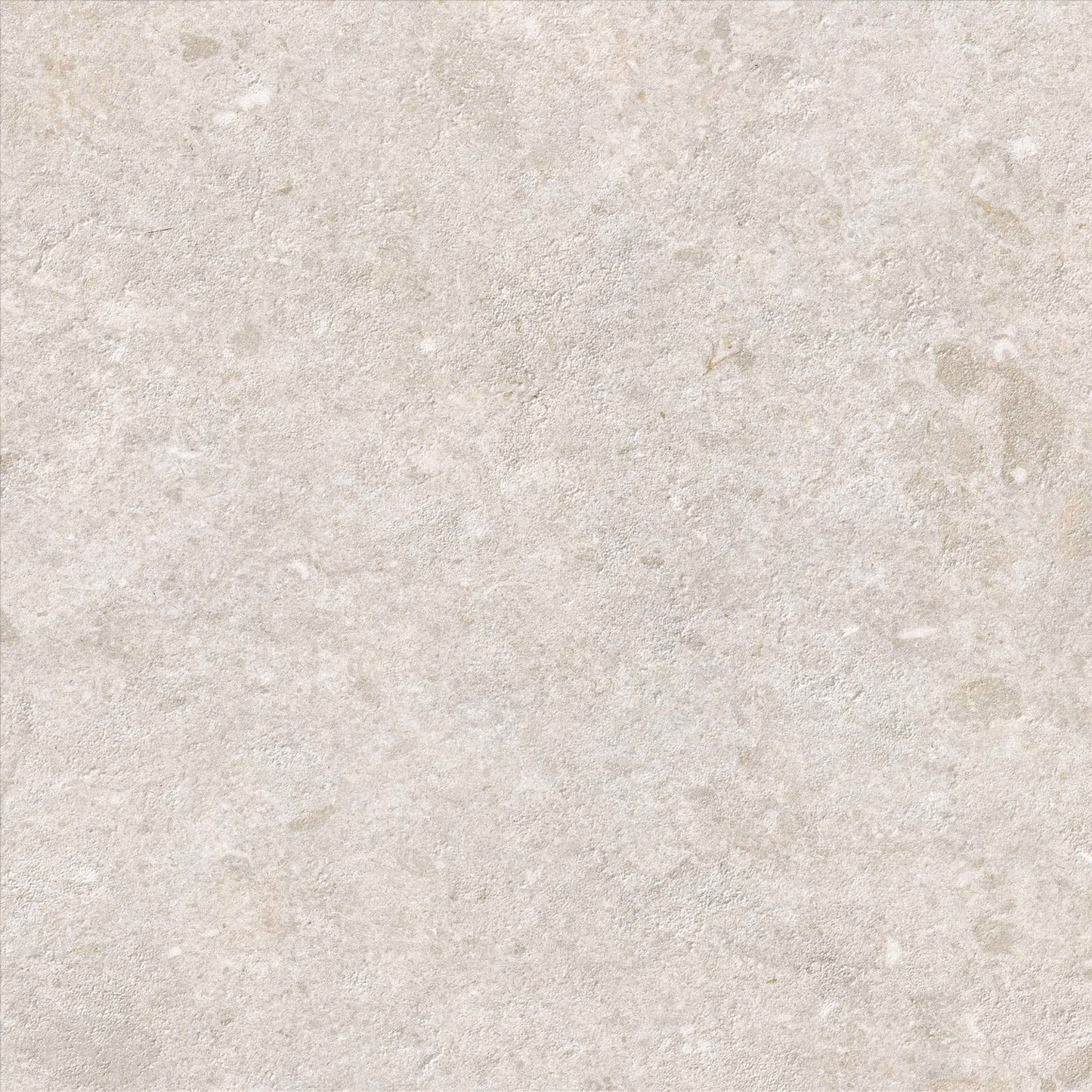 Saloni - Cavallina