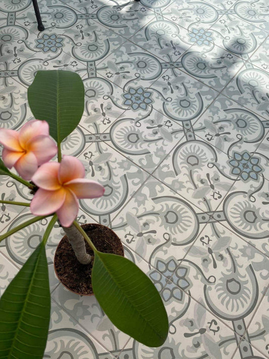 Revoir Paris - La Madeleine - Papillon