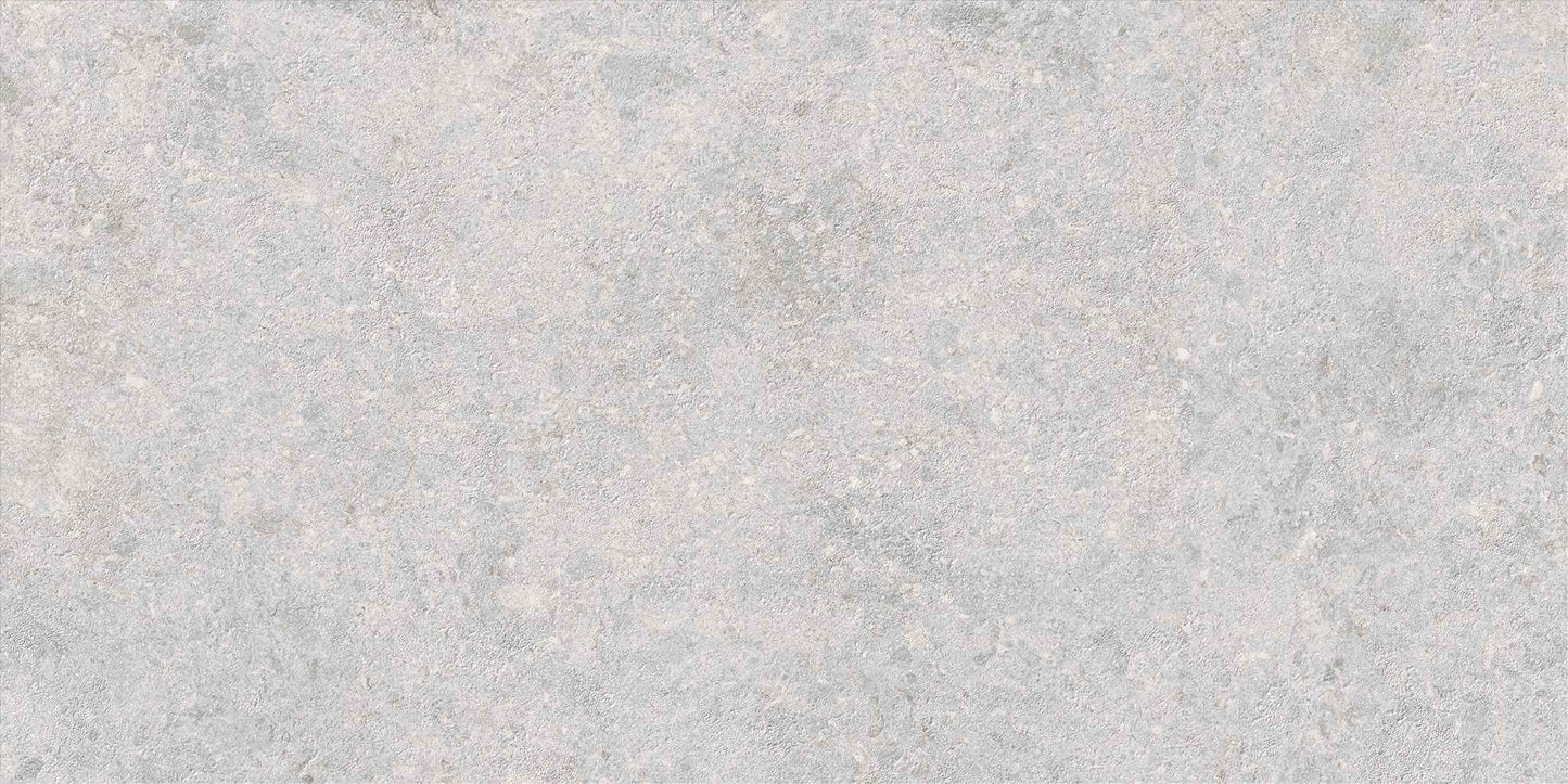 Saloni - Cavallina