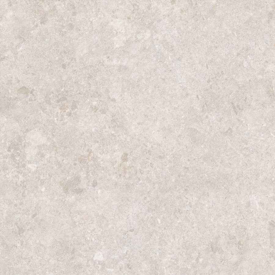 Saloni - Cavallina