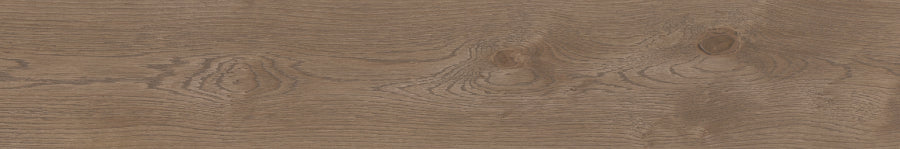 Saloni - Robur