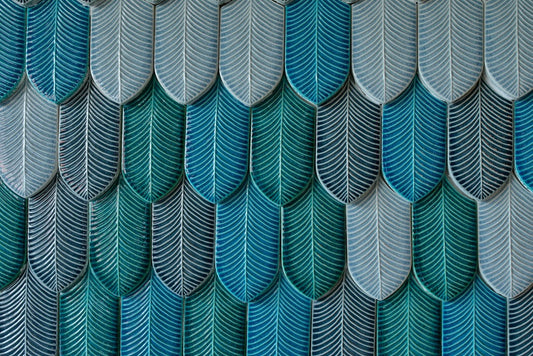 AcquarioDue - Calathea