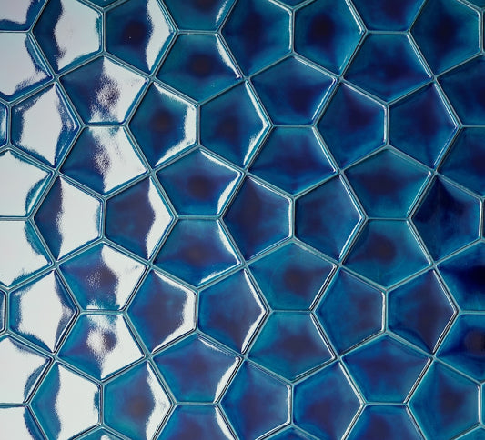 AcquarioDue - Papillion