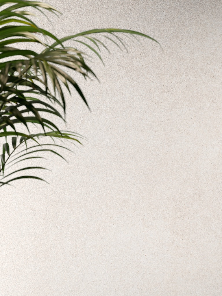 Nadis Valentina White Feinsteinzeug Fliese natürliche matte Oberfläche
