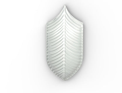 AcquarioDue - Calathea