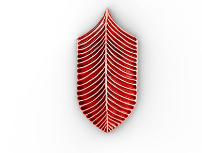 AcquarioDue - Calathea