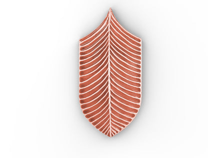 AcquarioDue - Calathea