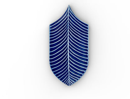 AcquarioDue - Calathea