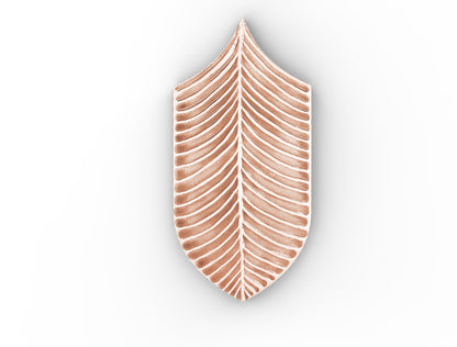 AcquarioDue - Calathea