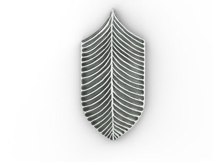 AcquarioDue - Calathea