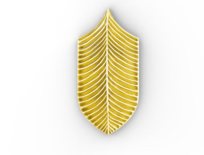 AcquarioDue - Calathea