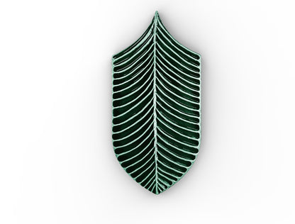 AcquarioDue - Calathea