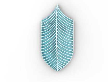 AcquarioDue - Calathea