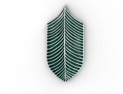 AcquarioDue - Calathea