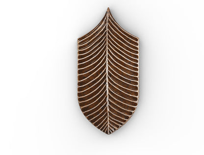 AcquarioDue - Calathea