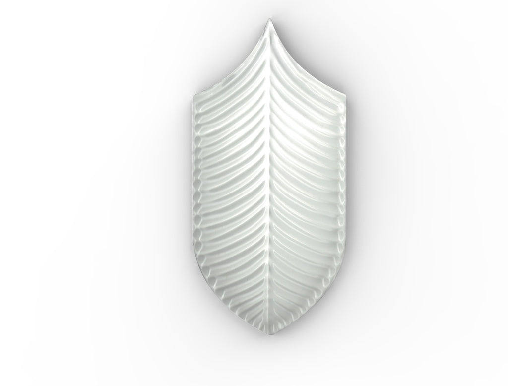 AcquarioDue - Calathea