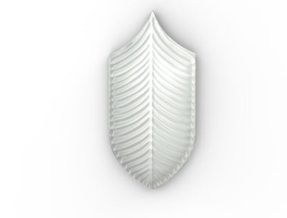 AcquarioDue - Calathea