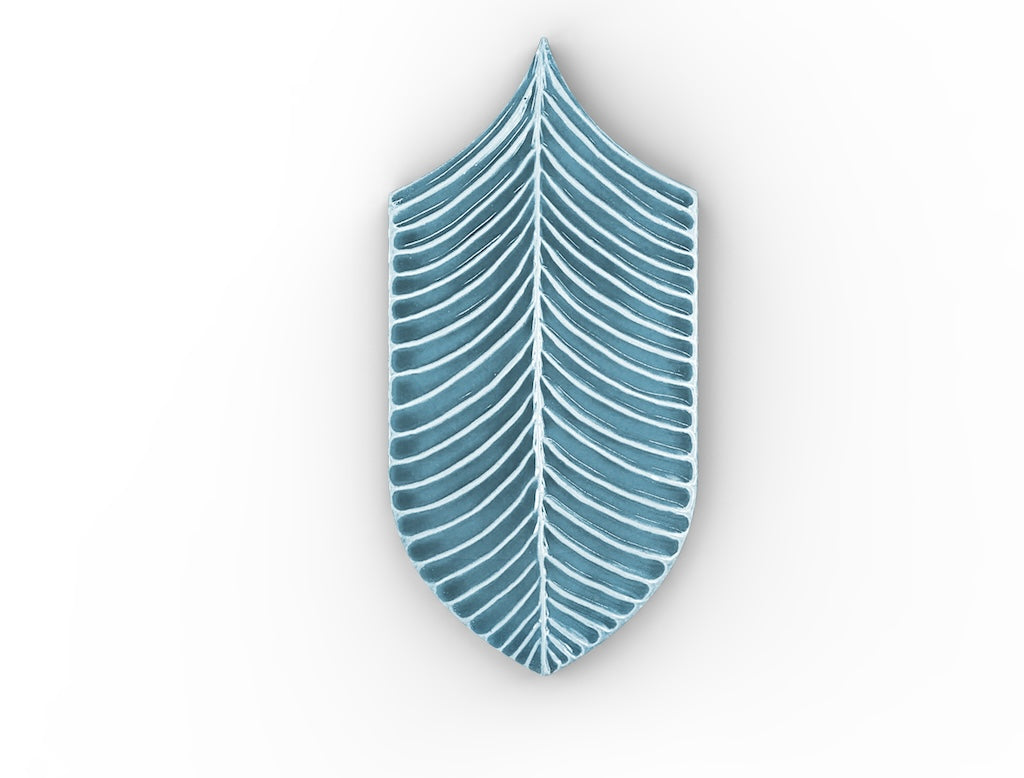AcquarioDue - Calathea