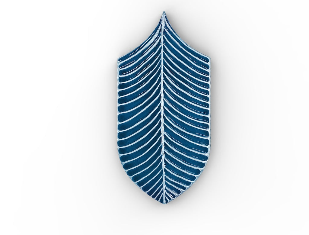 AcquarioDue - Calathea