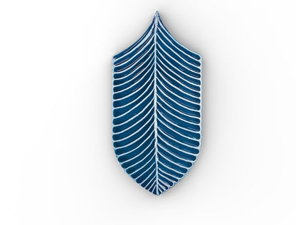 AcquarioDue - Calathea